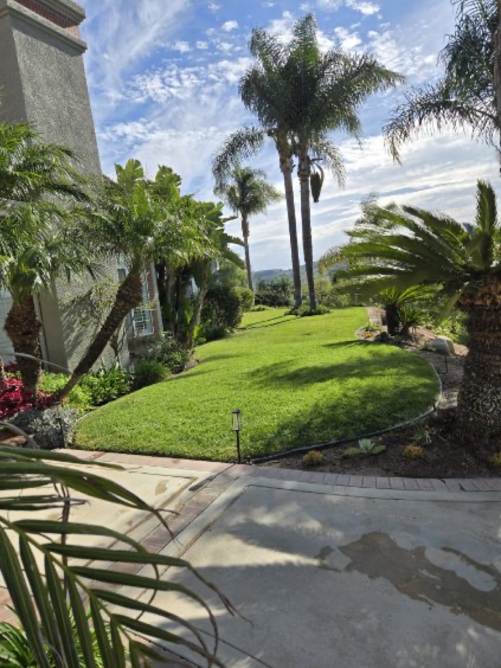 Palm-lined lawn with low-voltage landscape lighting