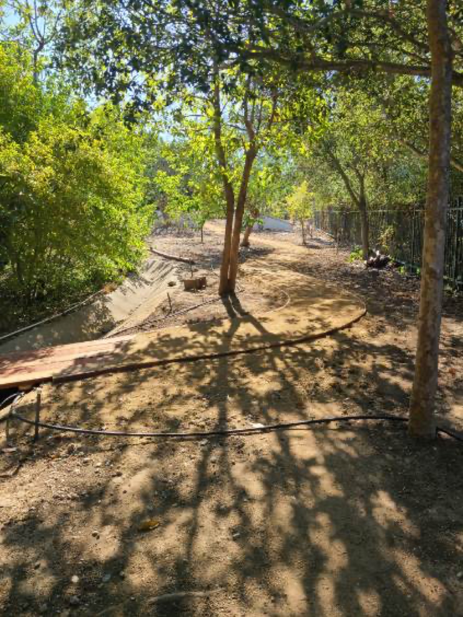 Recent seasonal cleanup project by Inigue'z Landscaping